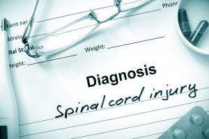 diagnosis spinal cord